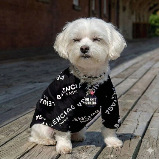 Pawenciaga Designer Dog T-Shirt