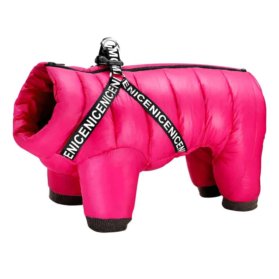 Dog Winter Jacket