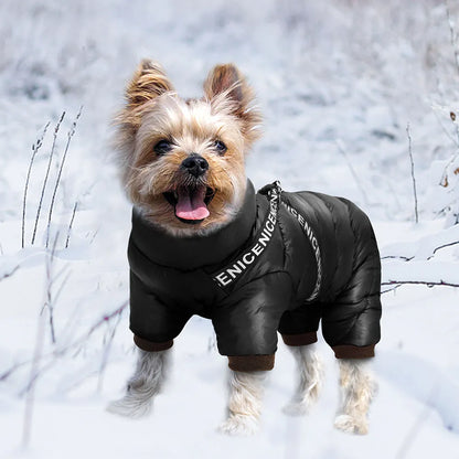 Dog Winter Jacket