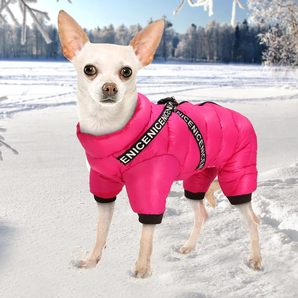 Dog Winter Jacket
