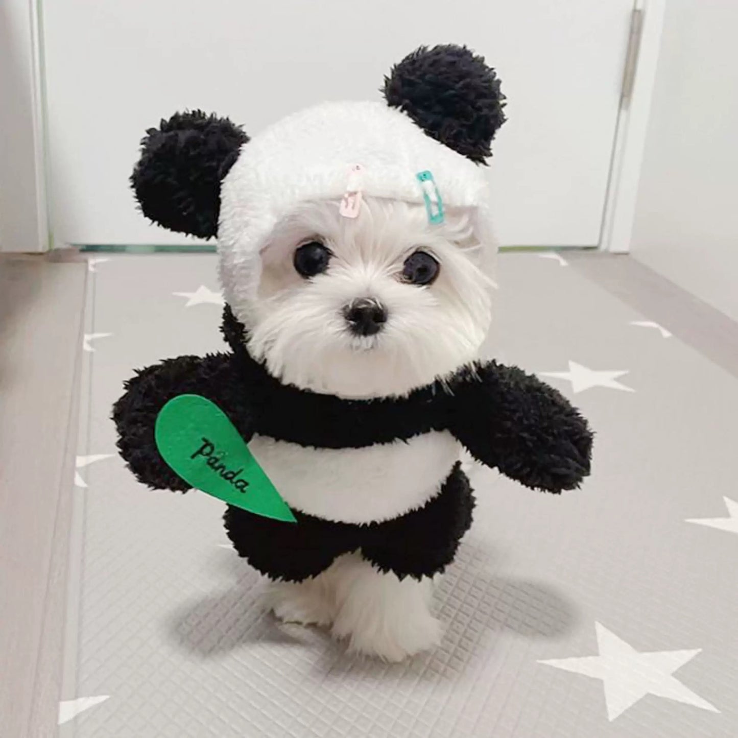 Panda Maltese Costume