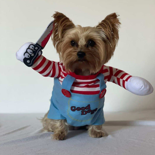 Funny Dog Costume