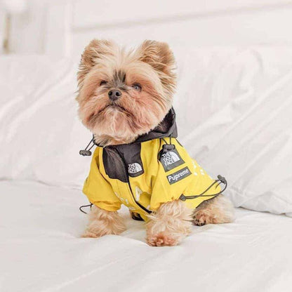Dog Windbreaker